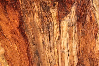 Full frame shot of wood rock