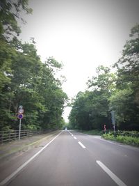 Country road along trees