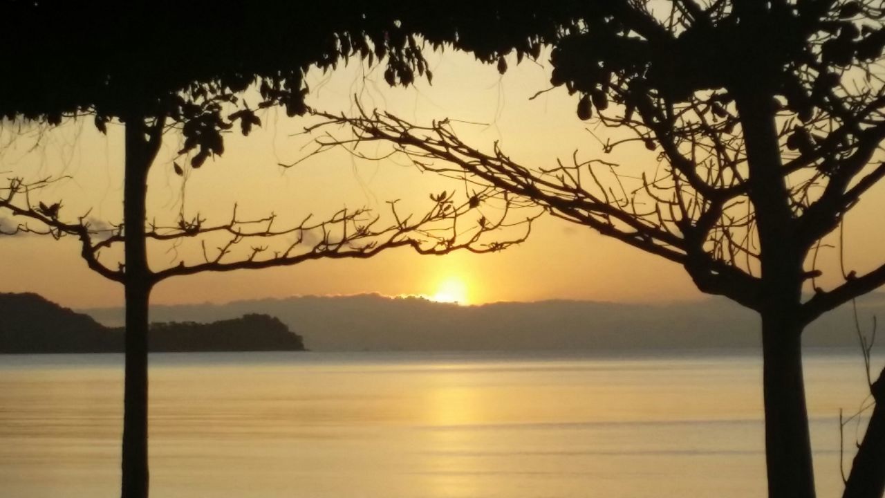 sunset, sun, silhouette, tranquil scene, tranquility, water, scenics, beauty in nature, tree, sea, nature, reflection, idyllic, orange color, sky, sunlight, horizon over water, branch, beach, lake