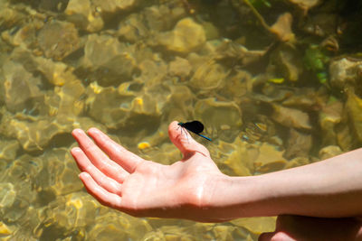 Close-up of woman hand on water