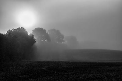 Trees on field against sky during foggy weather