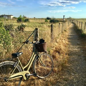 Bicycles on field