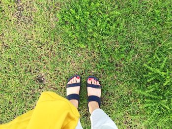 Low section of person standing on grass