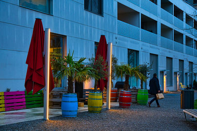 Potted plants on street against building
