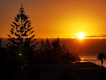 Silhouette trees against sky during sunset