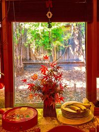 Potted plants on window sill