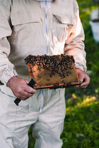 Beekeeper working in apiary, drawing out the honeycomb with bees and honey on it from a hive