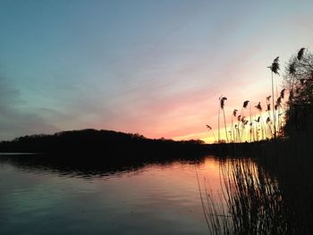 Reflection of trees in water at sunset