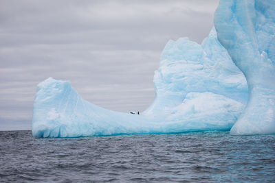 Scenic view of iceberg floating on sea against sky