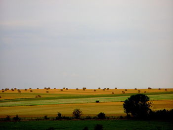 Hay bales on field against sky