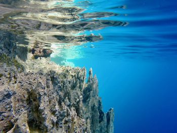 Barracuda lake, coron, phillipines. deep freshwater lake on sea island.