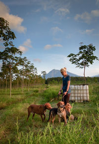 View of a dog on field