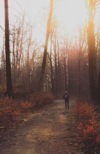 Rear view of man walking in forest during autumn