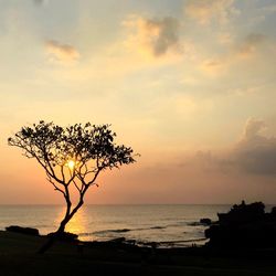 Scenic view of sea during sunset