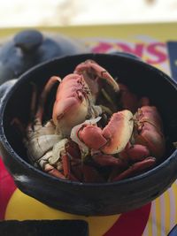 Close-up of crab in bowl