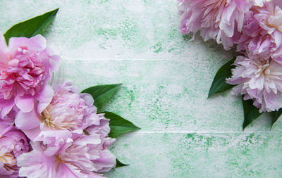 Floral frame with pink peonies. pink flowers on a green wooden background. 