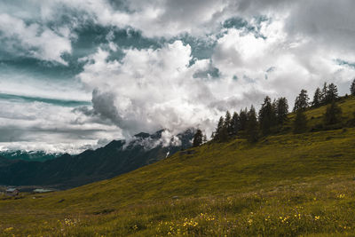 Scenic view of landscape against sky