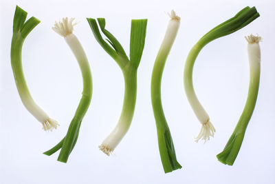 Close-up of banana against white background