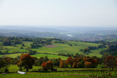 Scenic view of agricultural field against sky