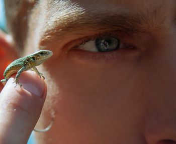 Close-up man holding lizard