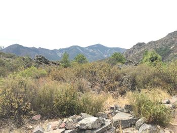 Scenic view of landscape against clear sky