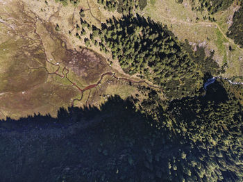 High angle view of trees on landscape