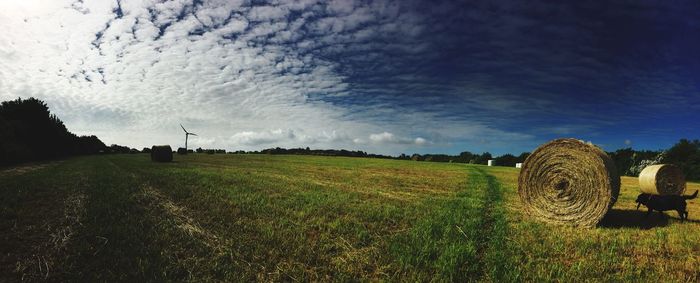 Hay bales on field against sky