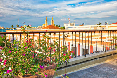 Plants growing outside building against sky