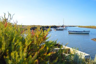 Boats moored in sea against clear blue sky