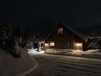 Illuminated buildings by trees during winter at night