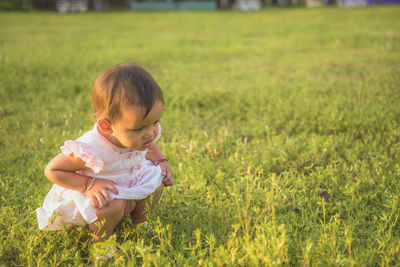 A little girl in the lawn looks at the spider closely at sunset.