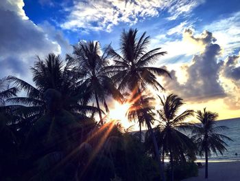 Low angle view of silhouette palm trees against sky