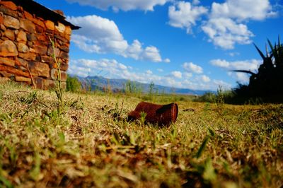 Scenic view of grassy field against cloudy sky