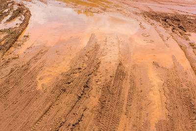 Tire tracks on sand dune