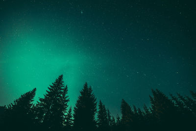 Low angle view of silhouette trees against star field at night