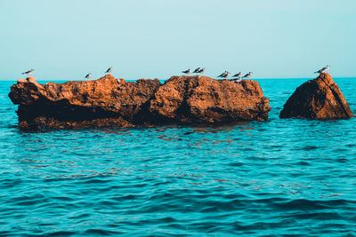 Rocks in sea against clear blue sky