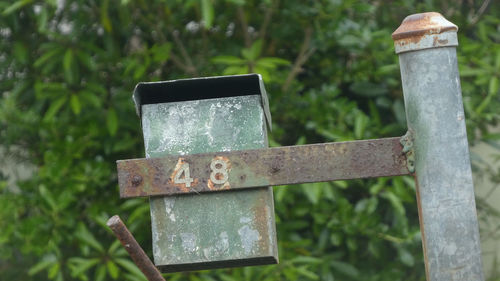 Close-up of rusty metal on wood against trees