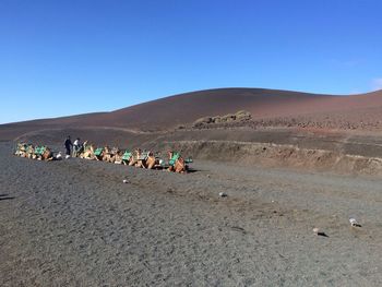 Scenic view of landscape against clear sky