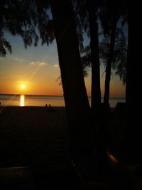 Silhouette trees on beach against sky during sunset