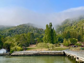 Scenic view of lake by trees against sky