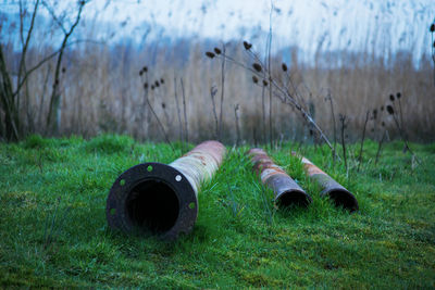 Rusty pipes on grassy field