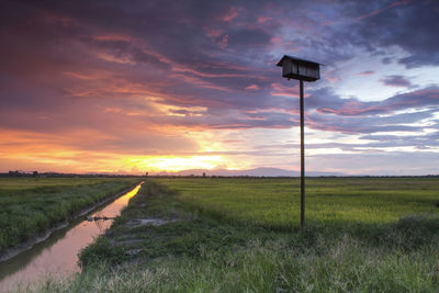 Road amidst field against sky during sunset