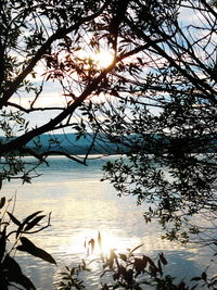 Scenic view of lake at sunset