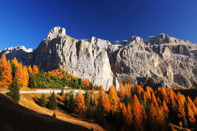 Panoramic view of trees on mountain against sky