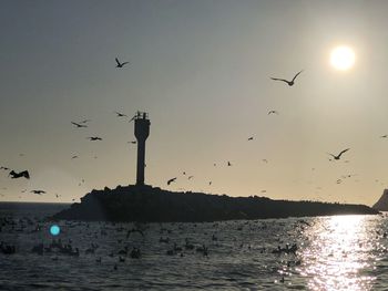 Silhouette birds flying over sea against sky