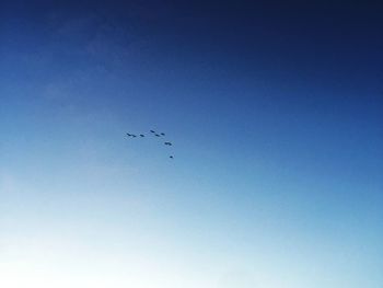 Low angle view of birds flying against clear blue sky