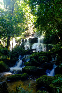 Scenic view of waterfall in forest