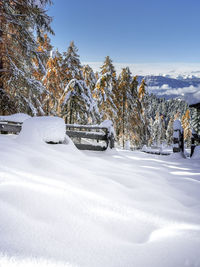 Snow covered trees on field against sky