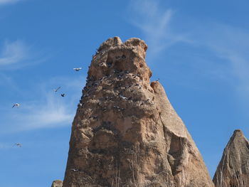 Low angle view of eagle against blue sky