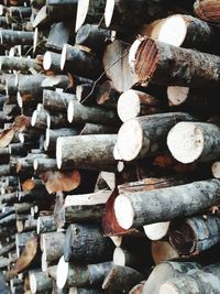 Full frame shot of logs in forest
